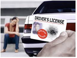 Dui Risk Assessment Risk Reduction NEEDS Assessment ONLY | Second Chance Risk Reduction ...